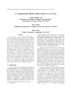 A Computationally Efficient Shape Analysis via Level Sets
