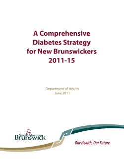Comprehensive Diabetes Strategy for New Brunswickers 2011