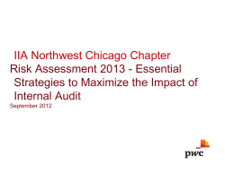 IIA Northwest Chicago Chapter Risk Assessment 2013