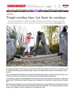 Forget monkey bars. Let them be monkeys