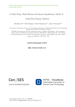 A Multi-Stage Multi-Horizon Stochastic Equilibrium Model of