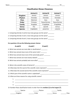 Coral Reef Fish Dichotomous Key