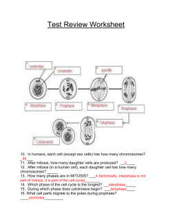 Test Review Worksheet