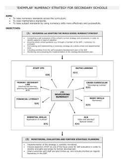 strategaeth rhifedd `enghreifftiol` ysgolion uwchradd