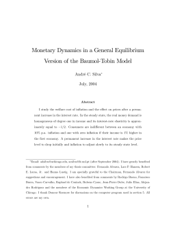 Monetary Dynamics in a General Equilibrium Version of