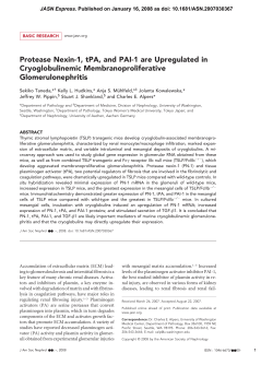 Protease Nexin-1, tPA, and PAI-1 are