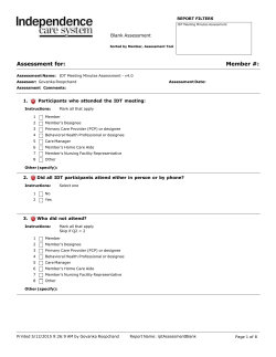 IDT Meeting Minutes Assessment