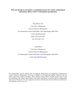 a competition-based view of how technological uncertainty affects a