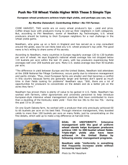 Push No-Till Wheat Yields Higher With These 5