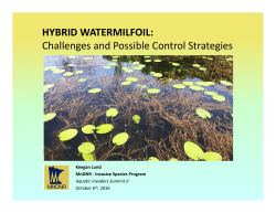 HYBRID WATERMILFOIL: Challenges and Possible Control Strategies