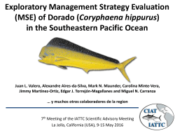 Exploratory Management Strategy Evaluation (MSE) of Dorado