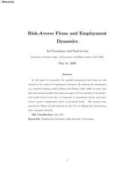 Risk-Averse Firms and Employment Dynamics