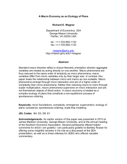 A Macro Economy as an Emergent Ecology of Plans