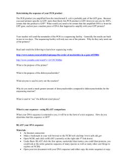 Sequencing the PCR Product