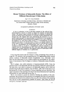 Mouse Virulence of Salmonella Strains: The Effect of