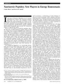 Natriuretic Peptides: New Players in Energy Homeostasis