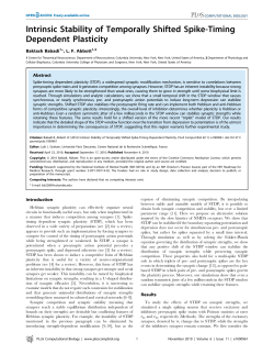 Intrinsic Stability of Temporally Shifted Spike