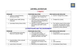 Ladywell action plan 2016&ndash;17