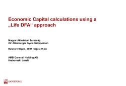 Economic Capital calculations using a