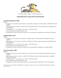 Sponsorship Levels For A Dog`s Day Poker Run and Event