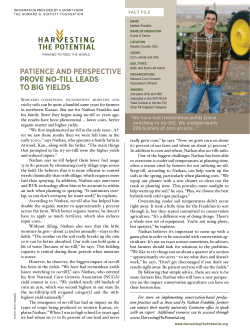 pATIENCE ANd pErspECTIvE provE No