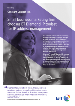 Small business marketing firm chooses BT Diamond IP toolset for IP