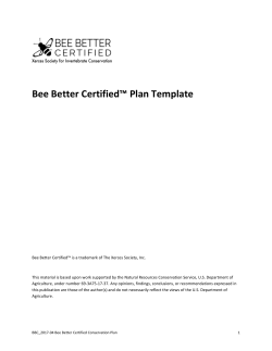 Bee Better Certified™ Plan Template