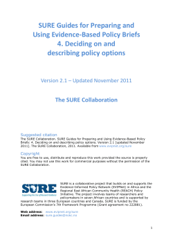 04 Deciding and describing options 2011