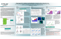 Single-agent Chk1 inhibition is anti-proliferative