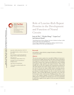 Role of Leucine-Rich Repeat Proteins in the Development and