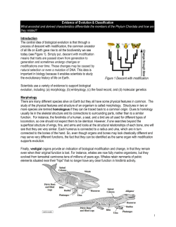 Lab Investigation #1: What factors influence reaction rates