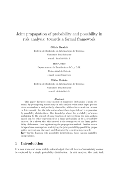 Joint propagation of probability and possibility in risk analysis