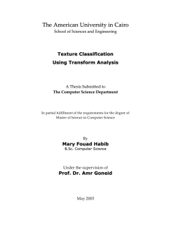 Thesis Proposal - AUC DAR Repository