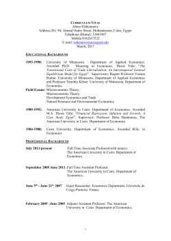 CURRICULUM VITAE - The American University in Cairo