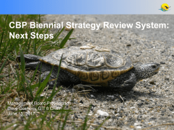 CBP Biennial Strategy Review System: Next Steps