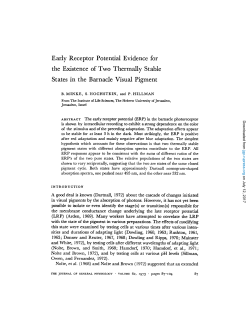 Early Receptor Potential Evidence for the Existence of Two