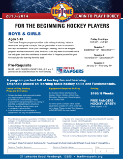 for the beginning hockey players