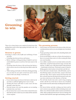 Grooming to win