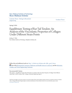 Equilibrium Testing of Rat Tail Tendon: An - Rose