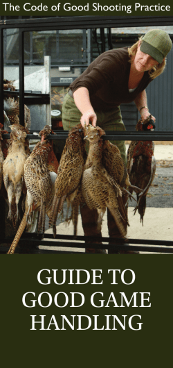 Guide to Good Game Handling - The Code of Good Shooting Practice