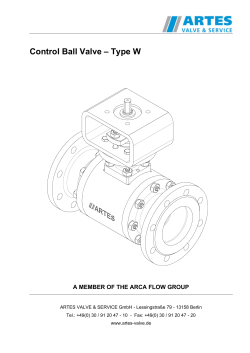 Control Ball Valve – Type W