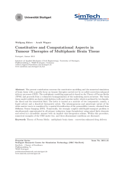 Constitutive and Computational Aspects in Tumour Therapies of