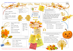 Choice 1: Lego games Choice 2: Hortic &ndash; end of season gardening