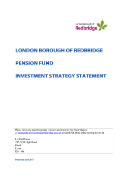 investment strategy statement 2017