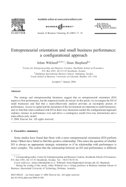 Entrepreneurial orientation and small business performance: a