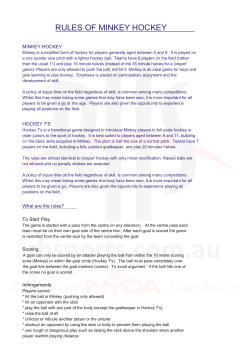 rules of minkey hockey