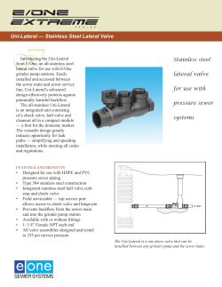 Stainless steel lateral valve for use with pressure