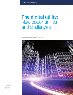 The digital utility: New opportunities and challenges