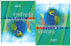 Estrategia yp Strategy and plan of action