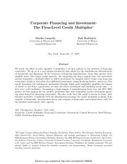 Corporate Financing and Investment: The Firm